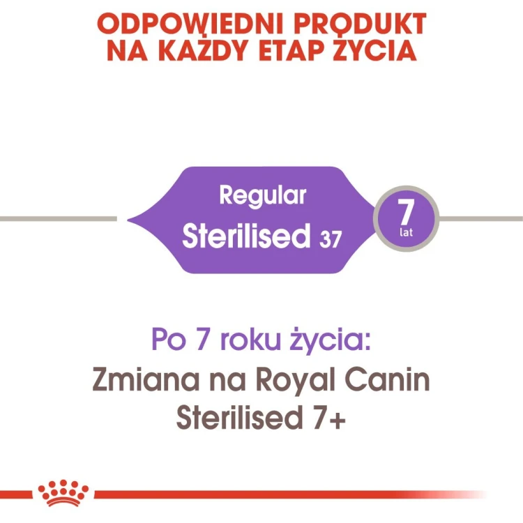 ROYAL CANIN FHN Regular Sterilised 37 - sucha karma dla kota dorosłego  - 10 kg