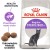 ROYAL CANIN FHN Regular Sterilised 37 - sucha karma dla kota dorosłego  - 10 kg