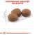 ROYAL CANIN FHN Regular Sterilised 37 - sucha karma dla kota dorosłego  - 10 kg
