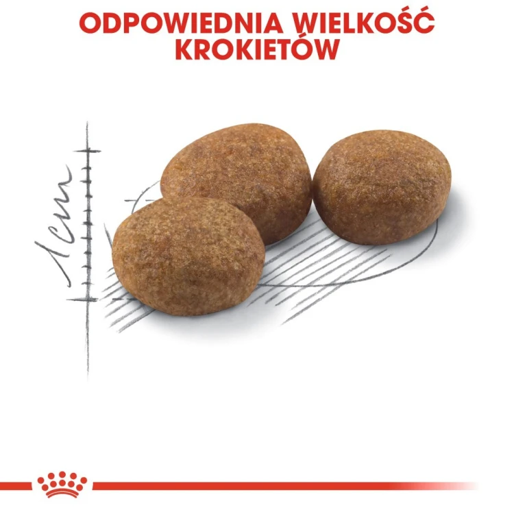 ROYAL CANIN FHN Regular Sterilised 37 - sucha karma dla kota dorosłego  - 10 kg