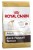 ROYAL CANIN BHN Jack Russell Terrier Adult - sucha karma dla psa dorosłego - 1,5kg