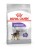 ROYAL CANIN CCN MINI STERILISED - sucha karma dla psa dorosłego - 3kg
