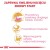 ROYAL CANIN FBN Maine Coon Kitten - sucha karma dla kociąt - 2kg