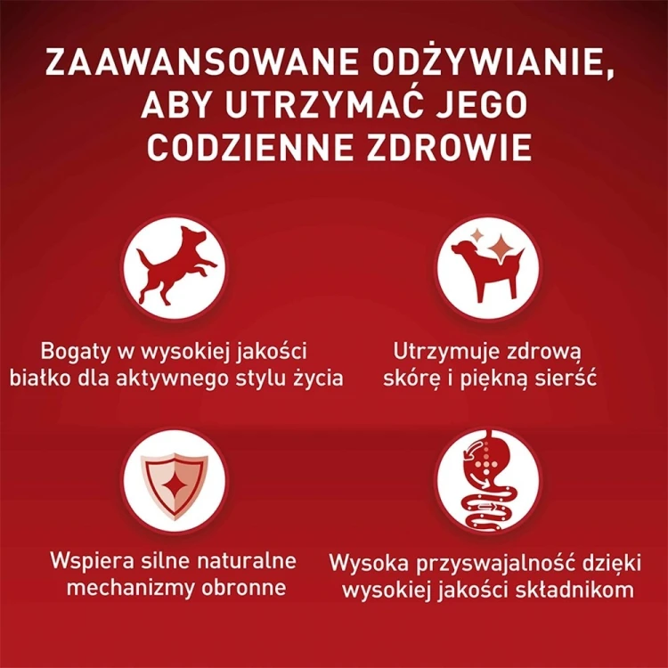 PURINA One Mini Adult Wołowina, ryż - sucha karma dla psa - 800 g