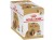 ROYAL CANIN BHN Shih Tzu Adult w formie pasztetu - mokra karma dla psa dorosłego - 12x85g