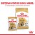 ROYAL CANIN BHN Shih Tzu Adult w formie pasztetu - mokra karma dla psa dorosłego - 12x85g