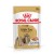 ROYAL CANIN BHN Shih Tzu Adult w formie pasztetu - mokra karma dla psa dorosłego - 12x85g
