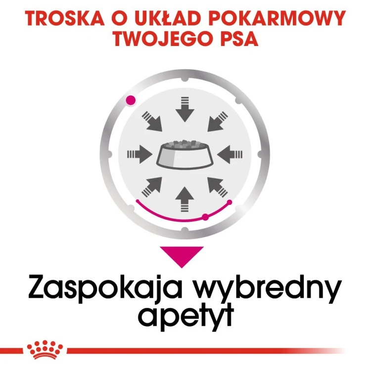 ROYAL CANIN CCN EXIGENT LOAF - mokra karma dla psa dorosłego - 12x85g