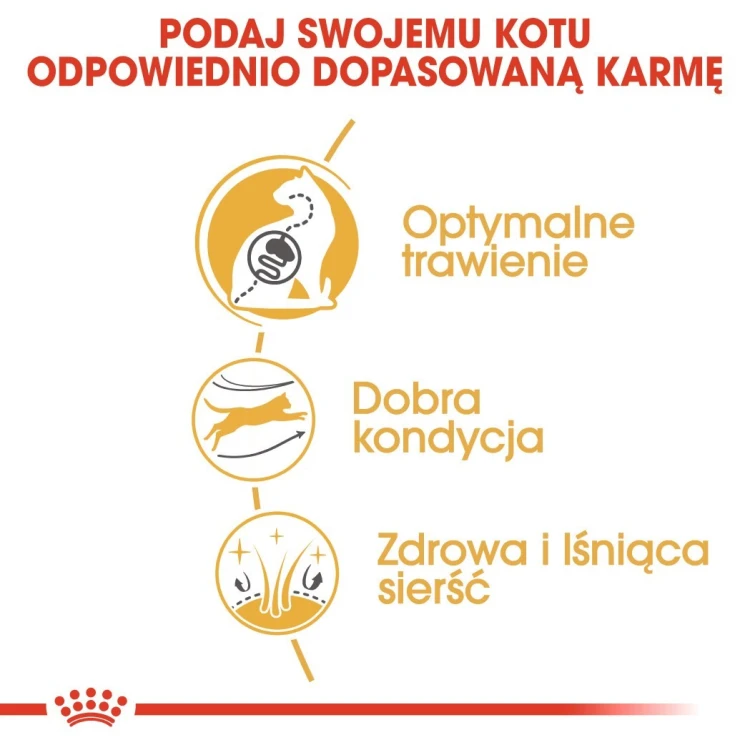 ROYAL CANIN Bengal Adult - sucha karma dla dorosłego kota - 2 kg
