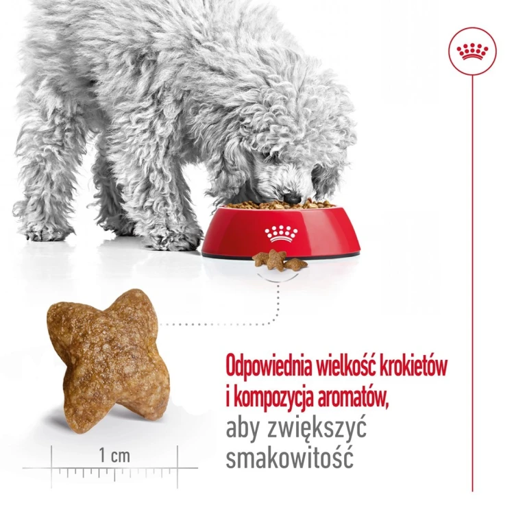 Royal Canin SHN Mini Adult 4kg
