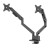 Neomounts DS70-250BL2 uchwyt / stojak do monitorów 81,3 cm (32") Biurko Czarny