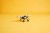 LEGO Technic 42198 - Samolot transportowy