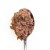 3Coty DUCK for Adult cats 80g