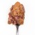 3Coty TURKEY for Adult cats 80g