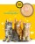 3Coty CHICKEN for Kittens 80g