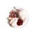 3Coty CHICKEN for Kittens 80g