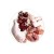 3Coty TURKEY + CHICKEN for Kittens 80g