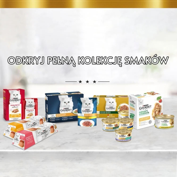 PURINA GOURMET REVELATIONS Łosoś w galaretce 2X57g