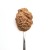 3Coty CHICKEN + KRILL  for Kittens 180g