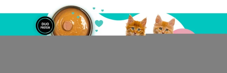 3Coty CHICKEN + DUCK for Kittens 180g