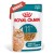 ROYAL CANIN FHN Cat Ageing 11+ Gravy 12x85g