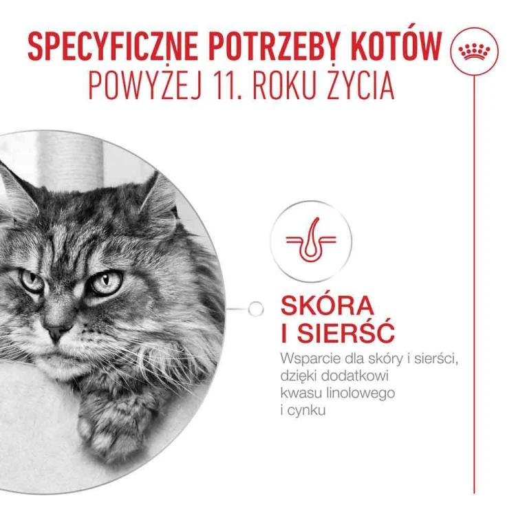ROYAL CANIN FHN Cat Ageing 11+ Gravy 12x85g