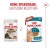 ROYAL CANIN FHN Cat Ageing 11+ Gravy 12x85g