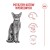 ROYAL CANIN FHN Cat Exigent Fussy 10kg