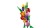 LEGO Botanical Collection 11501 - Bukiet tulipanów