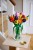 LEGO Botanical Collection 11501 - Bukiet tulipanów