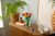 LEGO Botanical Collection 11501 - Bukiet tulipanów