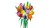 LEGO Botanical Collection 11501 - Bukiet tulipanów