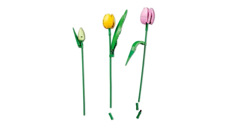 LEGO Botanical Collection 11501 - Bukiet tulipanów