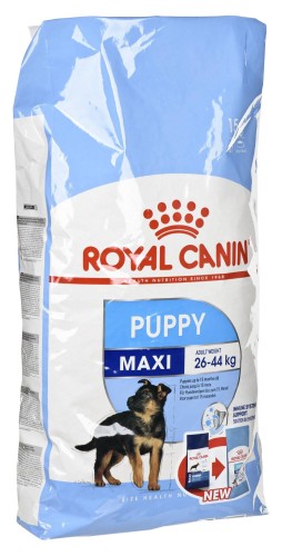 ROYAL CANIN SHN Maxi Puppy - sucha karma dla szczeniąt - 15 kg
