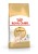 ROYAL CANIN FBN Sphynx Adult - sucha karma dla dorosłego kota - 2kg