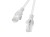 Patchcord UTP Lanberg PCU6-10CC-0300-S (RJ45 - RJ45 ; 3m; UTP; kat. 6; kolor szary)