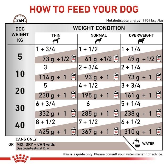 ROYAL CANIN VHN Dog Gastrointestinal Loaf 200g