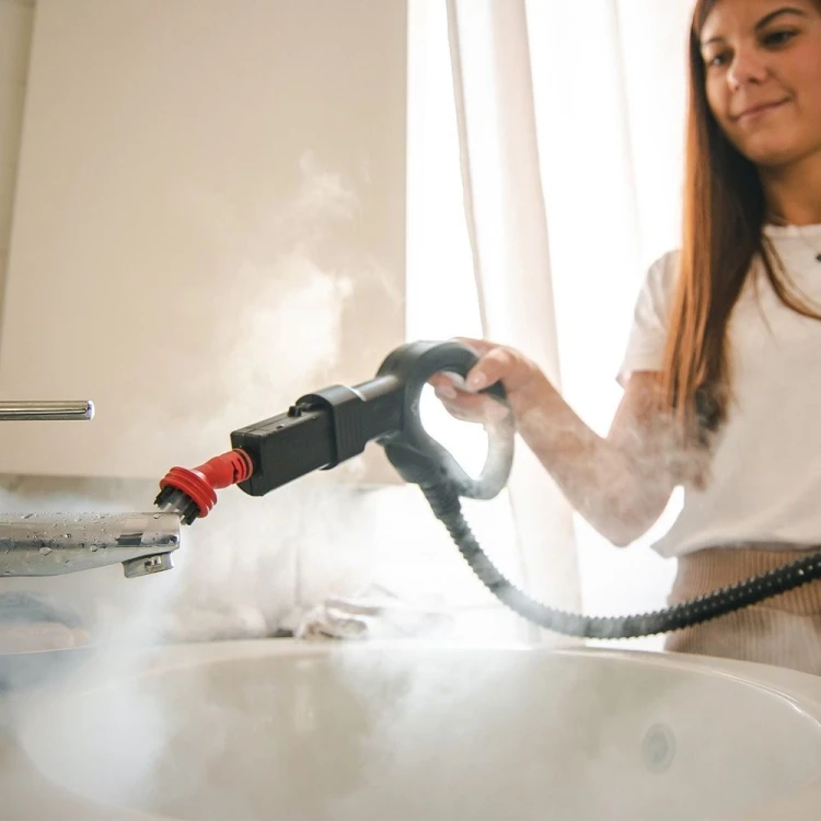 Odkurzacz parowy Polti Vaporetto Smart 110 Eco, Moc 1500 W, Ciśnienie pary 4 bar, Pojemność zbiornika na wodę 2 L, Biały/Zielony