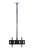 Edbak CMS21 uchwyt / stojak do monitorów 190,5 cm (75") Sufit Czarny