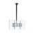 Edbak CMS21 uchwyt / stojak do monitorów 190,5 cm (75") Sufit Czarny