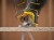 Pilarka szablasta fatmax 18V SFMCS311B-XJ STANLEY