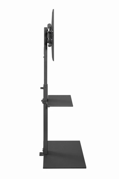 Gembird TVS-55T-02 Stojak podłogowy pod telewizor, 32" - 55", czarny