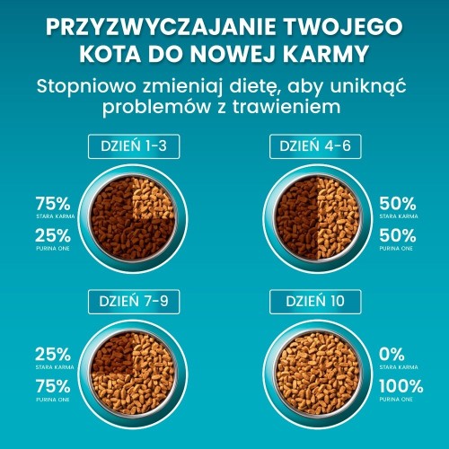 Purina ONE Sensitive Bogata w Indyka i Ryż 750g