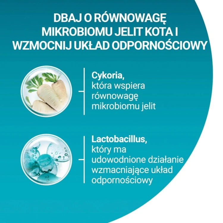 Purina ONE Sensitive Bogata w Indyka i Ryż 750g