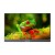 Monitor przenośny ARZOPA A1 T 15,6"