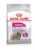 ROYAL CANIN CCN MINI EXIGENT - sucha karma dla psa - 3 kg