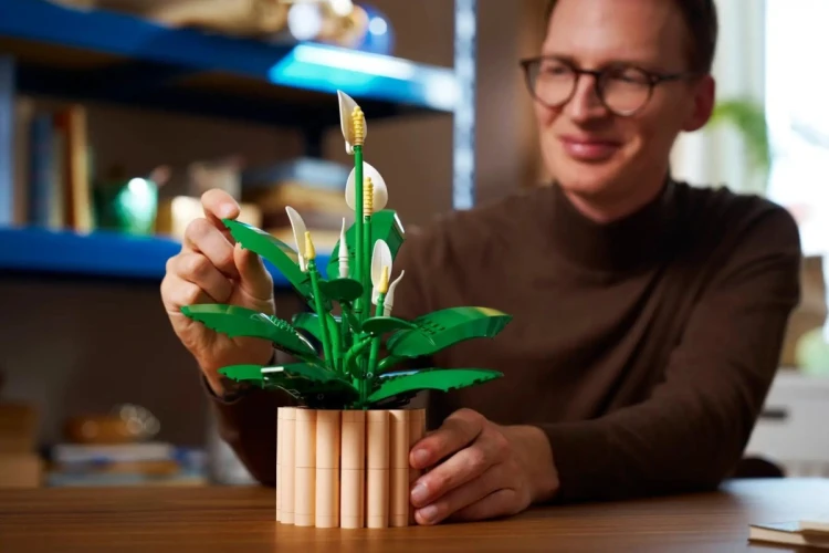 LEGO BOTANICALS 11504 Skrzydłokwiat