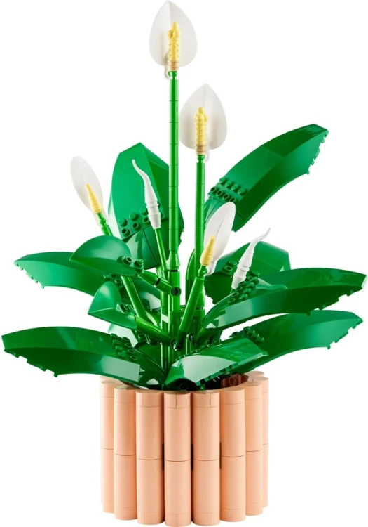 LEGO BOTANICALS 11504 Skrzydłokwiat