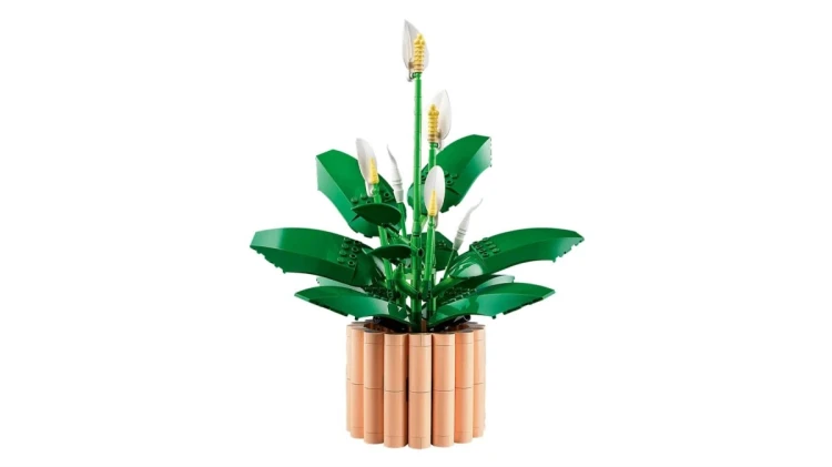 LEGO BOTANICALS 11504 Skrzydłokwiat