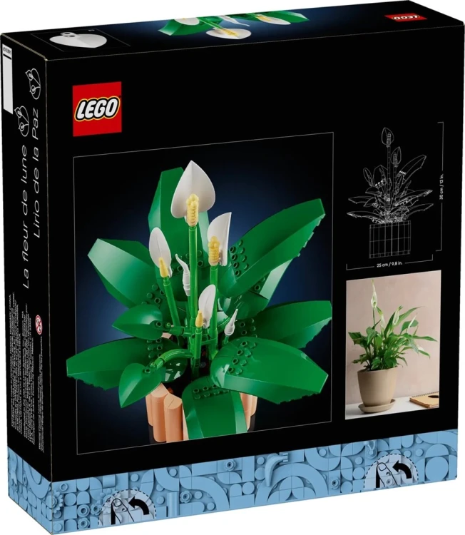 LEGO BOTANICALS 11504 Skrzydłokwiat